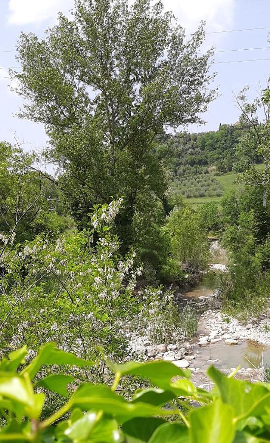 Podere Pian Dei Gelsi Вольтерра Екстер'єр фото