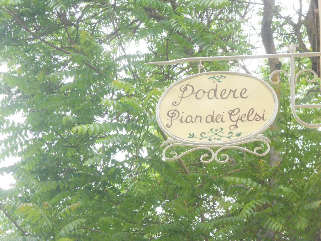 Podere Pian Dei Gelsi Вольтерра Екстер'єр фото